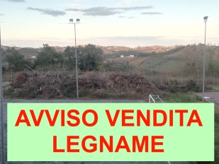 AVVISO PUBBLICO PER LA VENDITA DI LEGNA PROVENIENTE DA POTATURE E/O ABBATTIMENTI DI ALBERI DI PROPRIETA DELLAMMINISTRAZIONE COMUNALE- Anno 2024. RIAPERTURA DEI TERMINI -SCADENZA 8 GENNAIO 2025